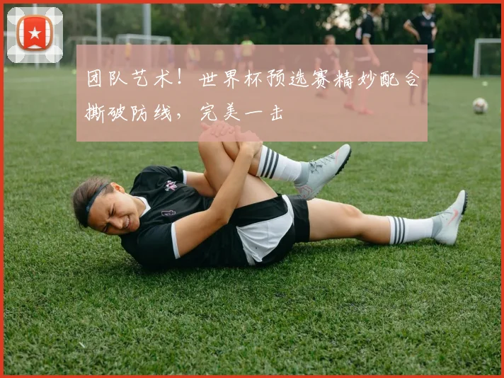 团队艺术!世界杯预选赛精妙配合撕破防线,完美一击