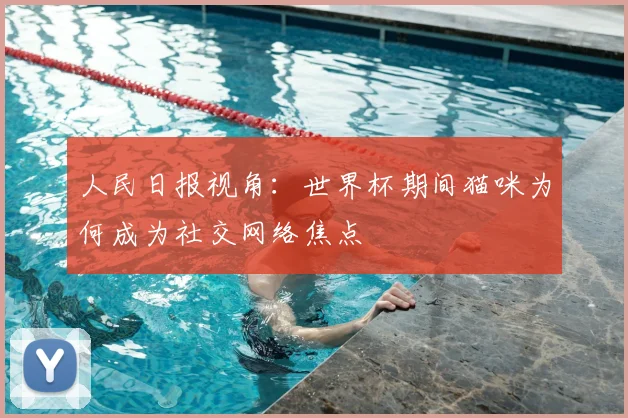 人民日报视角:世界杯期间猫咪为何成为社交网络焦点