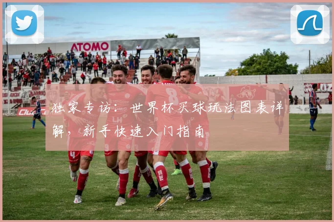 独家专访:世界杯买球玩法图表详解,新手快速入门指南