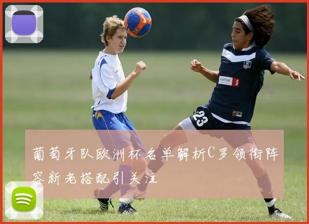 葡萄牙队欧洲杯名单解析C罗领衔阵容新老搭配引关注